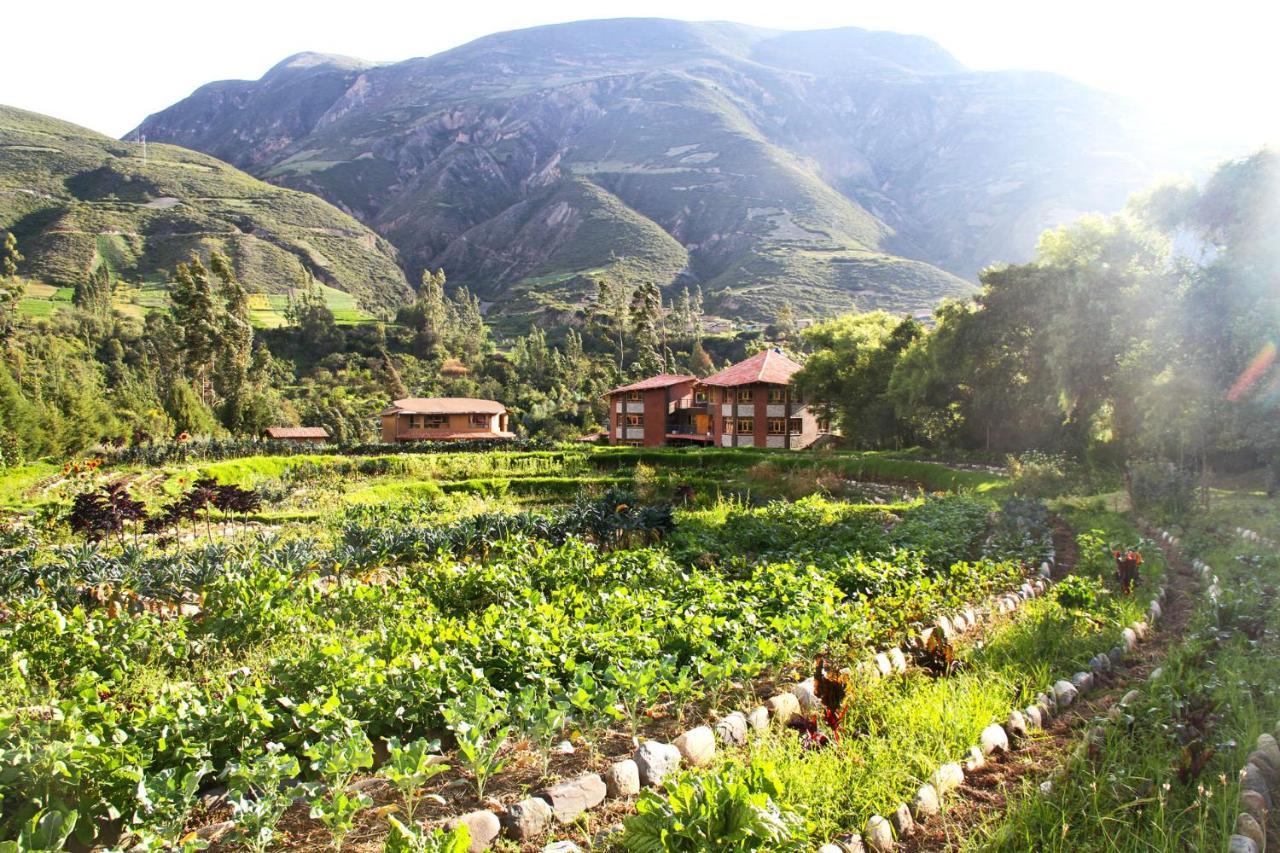 Fleur Lodge Carhuaz Exteriér fotografie
